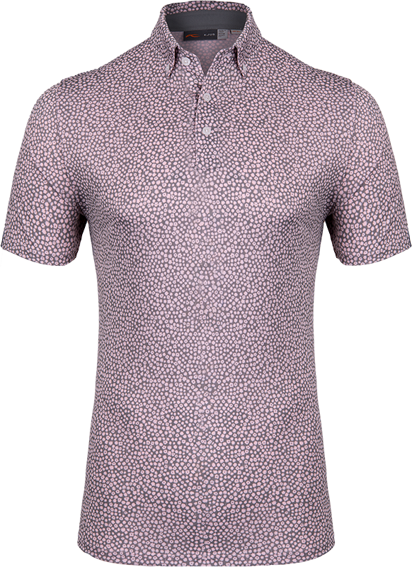 K00741_K0074102_8095