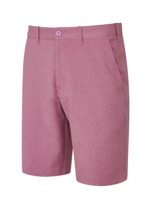 P03316_rasperry_7065