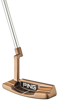 Ping_Karsten_TR_Anser_2